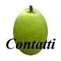 contatti